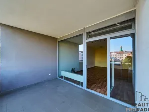 Pronájem bytu 1+kk, Olomouc, Sokolovská, 51 m2