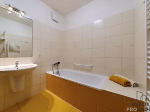 Pronájem bytu 1+kk, Olomouc, Sokolovská, 51 m2