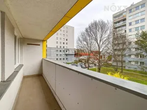 Prodej bytu 2+1, Praha - Žižkov, Habrová, 46 m2