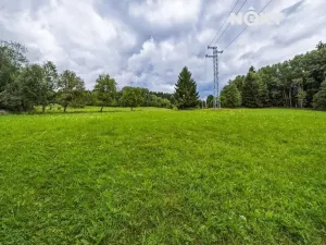 Prodej pozemku pro bydlení, Horní Vltavice, 2934 m2