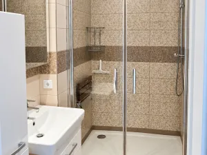 Prodej bytu 2+1, Brno, Vondrákova, 52 m2
