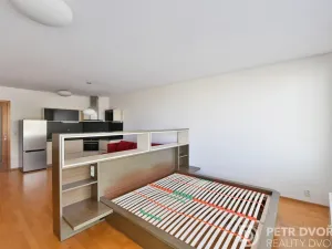 Pronájem bytu 1+kk, Praha - Žižkov, Jeseniova, 48 m2