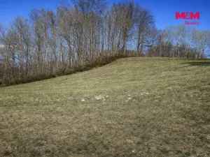 Prodej louky, Janův Důl, 2749 m2