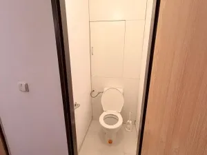 Pronájem bytu 1+1, Mladá Boleslav - Mladá Boleslav II, Na Radouči, 40 m2