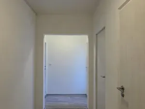 Prodej bytu 2+1, Brno, Souběžná, 55 m2