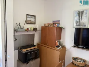 Prodej bytu 1+kk, Slapy, 17 m2