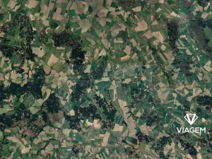 Prodej podílu pole, Golčův Jeníkov, 187 m2
