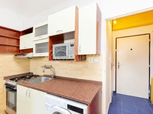 Pronájem bytu 1+1, Tábor, Leskovická, 37 m2