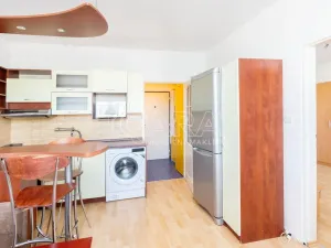 Pronájem bytu 1+1, Tábor, Leskovická, 37 m2