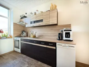 Pronájem bytu 2+1, Háj u Duchcova, Kubátova, 74 m2