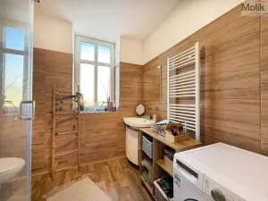 Pronájem bytu 2+1, Háj u Duchcova, Kubátova, 74 m2