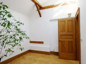 Pronájem atypického bytu, Praha - Josefov, Žatecká, 195 m2
