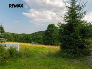 Prodej pozemku pro bydlení, Staré Město, Velké Vrbno, 888 m2