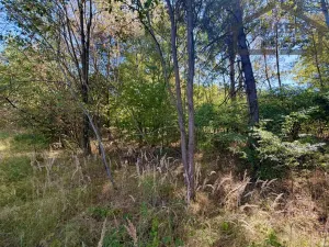 Prodej pozemku pro bydlení, Přimda - Újezd pod Přimdou, 894 m2