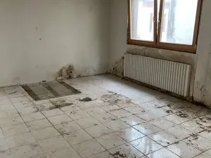 Dražba rodinného domu, Rosice, U Sýpky, 345 m2