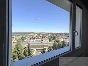 Pronájem bytu 1+1, Plzeň, Ledecká, 30 m2