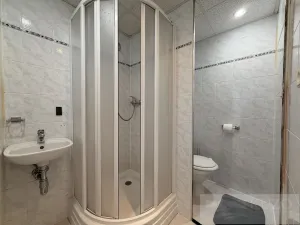 Pronájem bytu 1+1, Plzeň, Ledecká, 30 m2