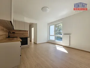 Pronájem bytu 2+kk, České Budějovice, Hálkova, 47 m2