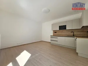 Pronájem bytu 2+kk, České Budějovice, Hálkova, 47 m2