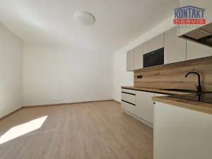 Pronájem bytu 2+kk, České Budějovice, Hálkova, 47 m2