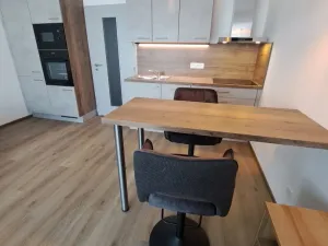 Pronájem bytu 1+kk, Olomouc, Topolová, 33 m2