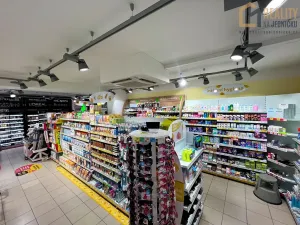 Prodej vícegeneračního domu, Javorník, Míru, 370 m2