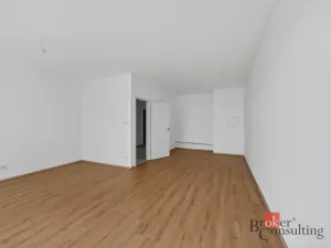 Prodej bytu 2+kk, Plzeň - Jižní Předměstí, Železná, 69 m2