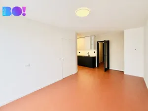 Pronájem bytu 2+kk, Ostrava, F. X. Riepla, 64 m2