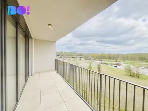 Pronájem bytu 2+kk, Ostrava, F. X. Riepla, 64 m2