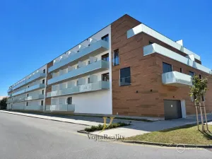 Pronájem bytu 2+kk, Olomouc, Třída Jiřího Pelikána, 46 m2