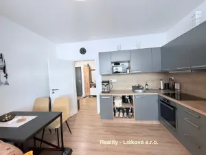 Pronájem bytu 2+kk, Ústí nad Labem - Ústí nad Labem-centrum, Velká Hradební, 46 m2