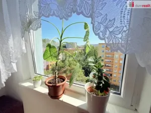 Pronájem bytu 3+1, Ústí nad Labem - Krásné Březno, Neštěmická, 68 m2