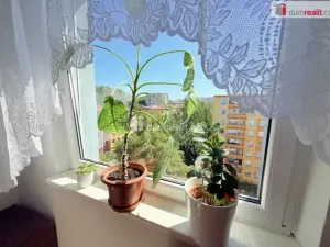 Pronájem bytu 3+1, Ústí nad Labem - Krásné Březno, Neštěmická, 73 m2