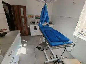 Prodej vícegeneračního domu, Lázně Bohdaneč, Škroupova, 205 m2