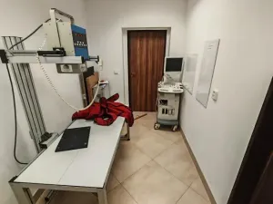 Prodej vícegeneračního domu, Lázně Bohdaneč, Škroupova, 205 m2