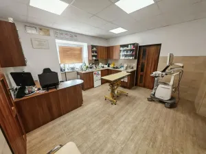 Prodej vícegeneračního domu, Lázně Bohdaneč, Škroupova, 205 m2
