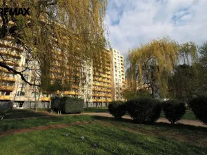 Pronájem bytu 1+kk, Hradec Králové - Nový Hradec Králové, třída Edvarda Beneše, 30 m2