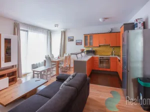 Pronájem bytu 3+kk, Praha, Srbínská, 75 m2