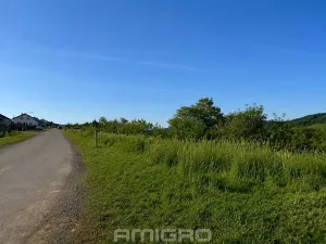 Prodej pozemku pro bydlení, Vranová, 13500 m2