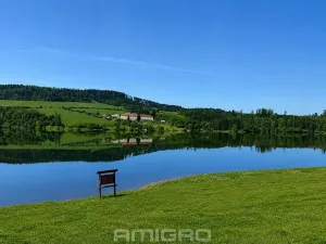 Prodej pozemku pro bydlení, Vranová, 13500 m2