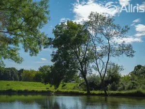 Prodej pozemku pro bydlení, Bulhary, 604 m2