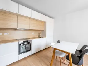 Pronájem bytu 2+kk, Praha - Karlín, Březinova, 50 m2