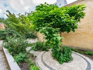 Pronájem bytu 2+kk, Praha - Karlín, Březinova, 50 m2