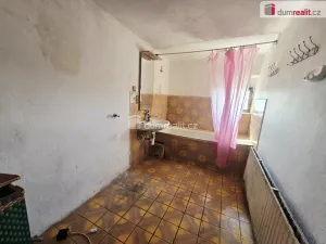 Prodej rodinného domu, Dolní Beřkovice, 337 m2
