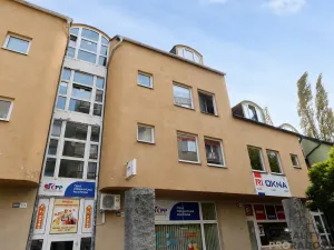 Pronájem bytu 1+kk, Hodonín, Národní třída, 50 m2