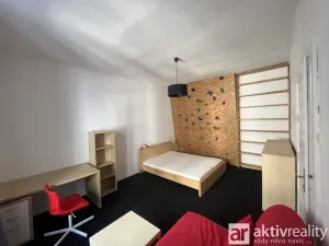 Pronájem bytu 2+kk, Praha - Žižkov, Žerotínova, 42 m2