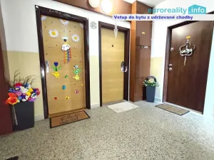 Pronájem bytu 2+kk, Strakonice, U Zahrádek, 46 m2