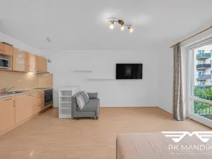 Pronájem bytu 1+kk, Praha - Černý Most, Truhlářova, 33 m2