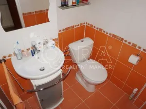 Prodej rodinného domu, Třebovice, 240 m2