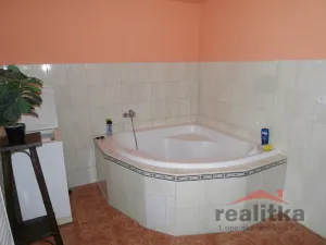 Pronájem pokoje, Opava - Jaktař, Přemyslovců, 20 m2